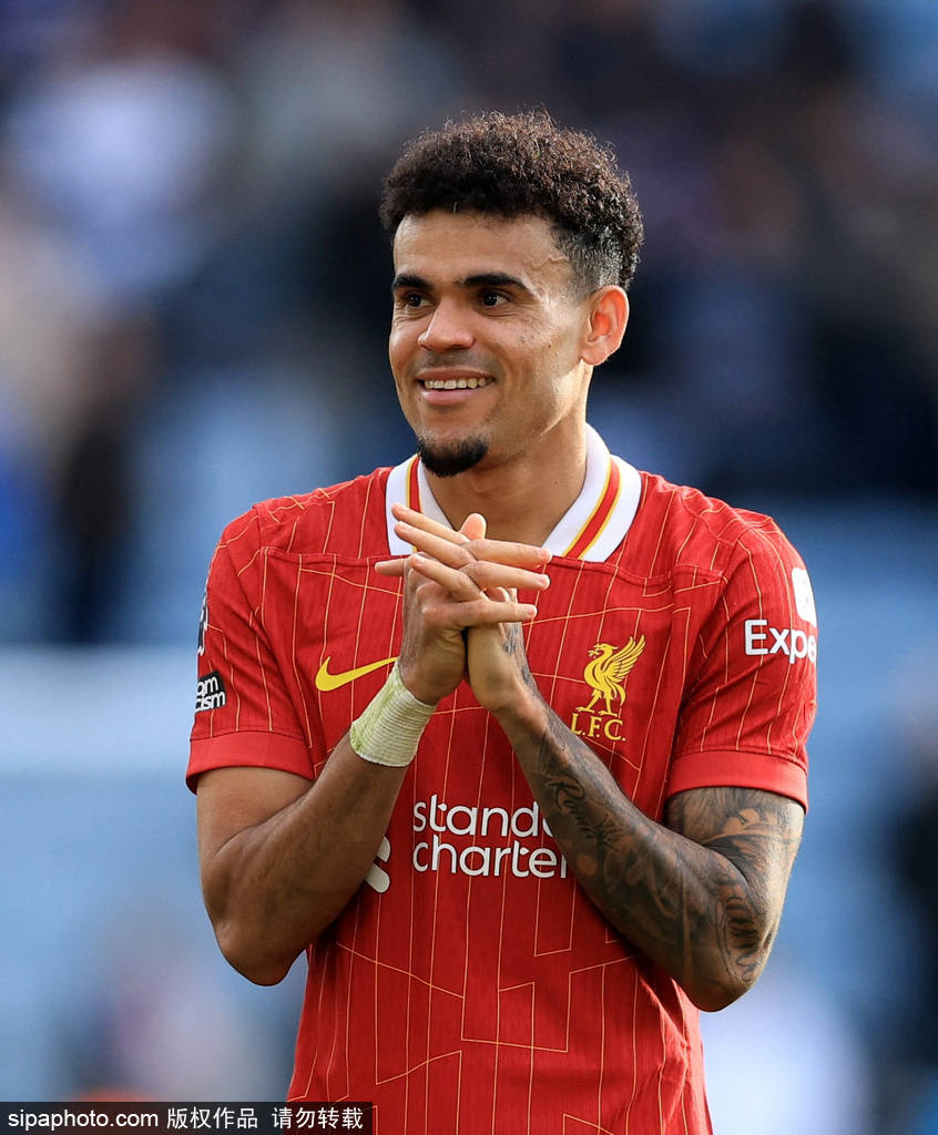 更赢得了情 更赢得了情