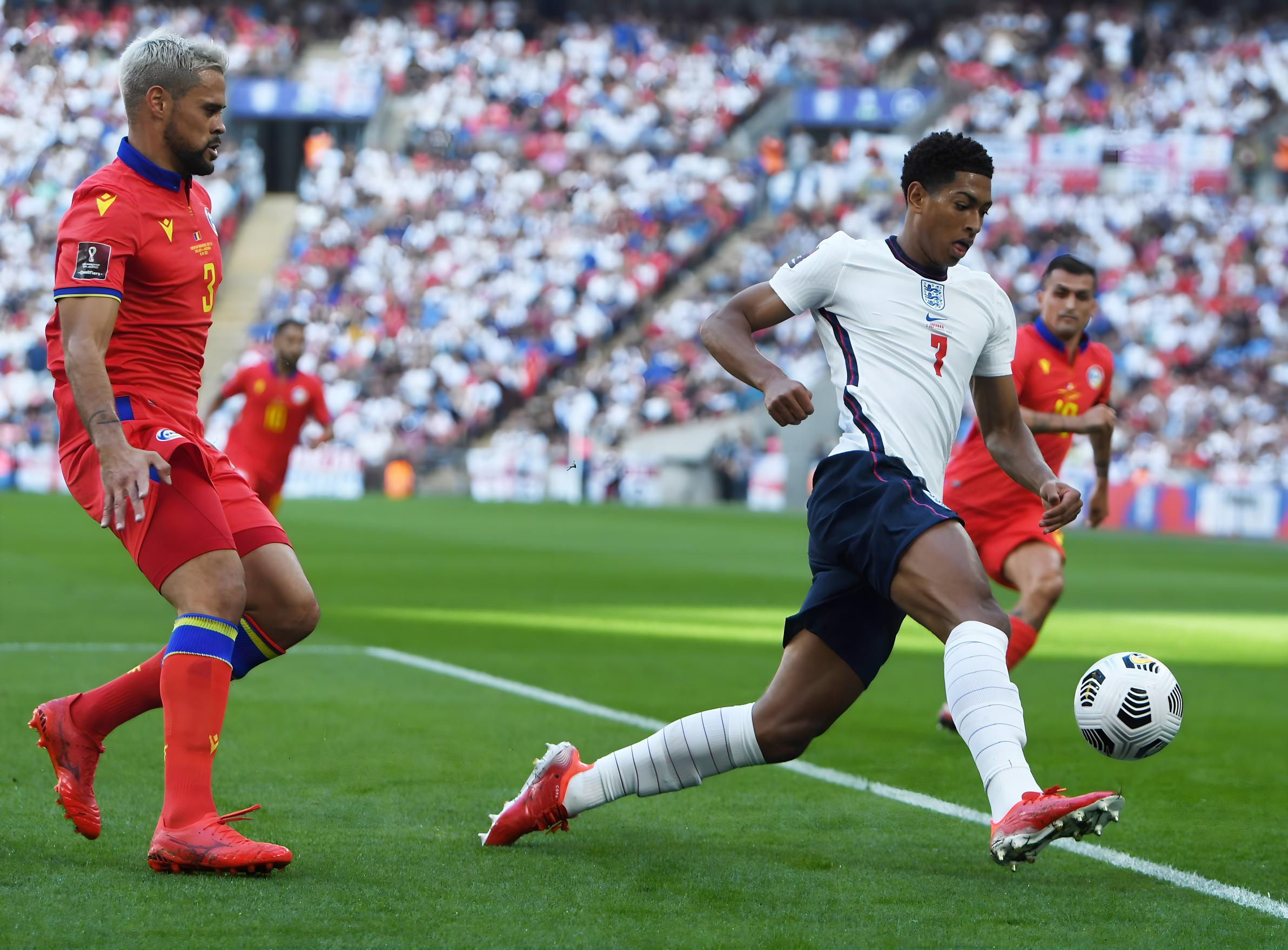 感染了无数 感染了无数